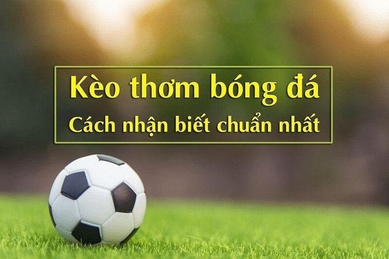 Bật mí cách chọn cá độ bóng đá để thắng