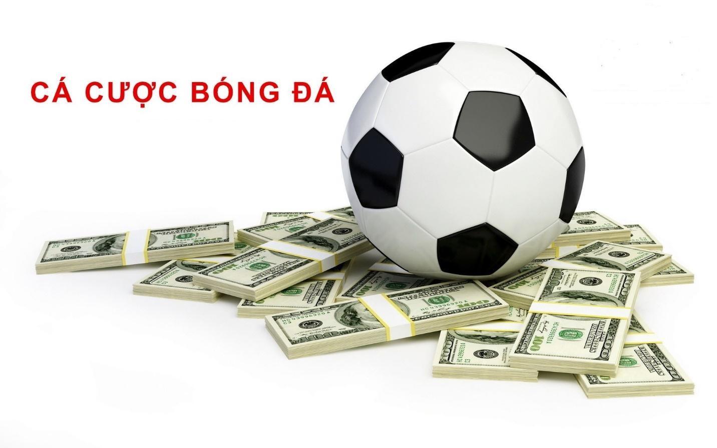 chơi-bong-online-winbet-the-nao